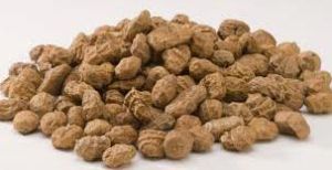 Tiger Nuts
