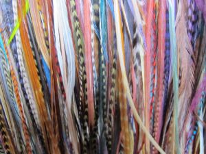 Grizzly Rooster Feathers