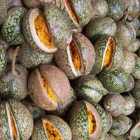 Natural Voacanga Africana Seeds, Packaging Size : 50kg 2%