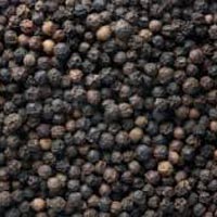 Black Pepper Seeds
