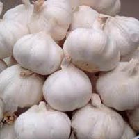 fresh garlic,  Number Of Flower : Vegetable