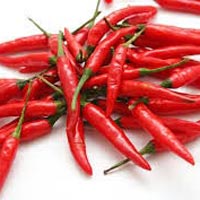 Fresh Red Chili