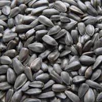 sunflower seeds