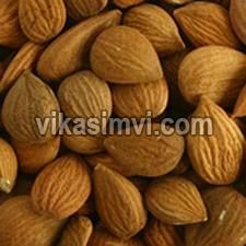 Sweet and Bitter Apricot Kernels