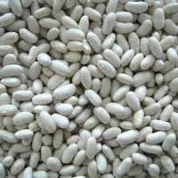 white kidney beans