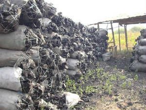 Hard Wood Lumps Charcoal Hard Wood Lumps Charcoal