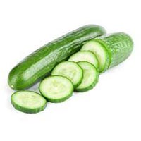 Fresh Seedless Cucumber