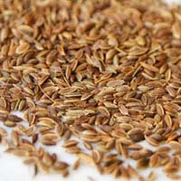 Dill Seed