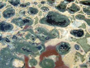 Jasper Fossilized Stromatolite Stone