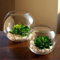 Glass Flower Pots