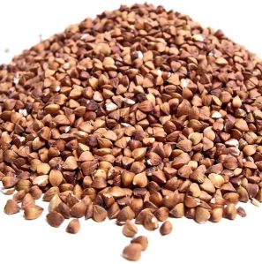 Crop Roasted Buckwheat