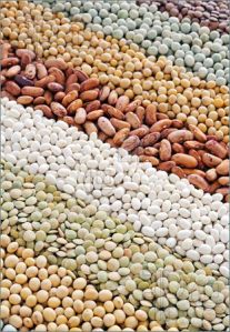 Dried Lentils Dried Lentils