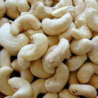 cashew nut