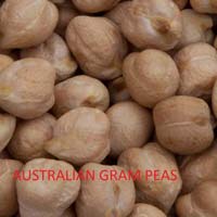 Australian Gram Peas