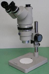 Stereoscopic Microscope