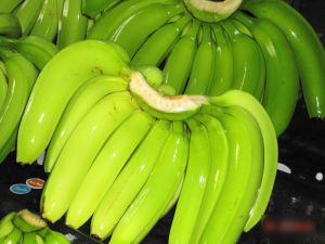 Fresh Cavendish Banana