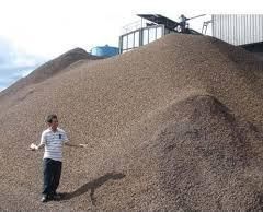 Palm Kernel Shell
