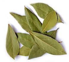 bay leaf