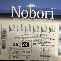 Nobori Stent