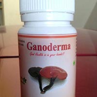 Ganoderma Capsules