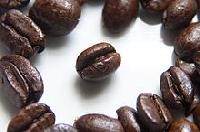 Robusta AA Coffee Bean