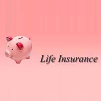life insurance consultant