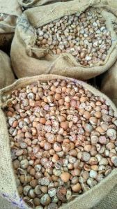 Betel / Areca Nuts, Certification : independent surveyor