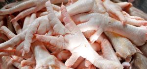 A Grade Quality Halal Frozen Chicken Feet and Paw