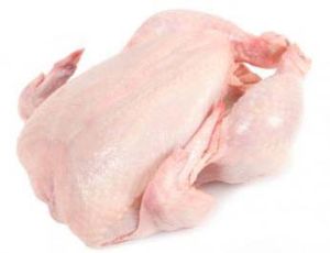 Brazilian Frozen Whole Chicken For Sale