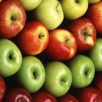 Apple Fruits