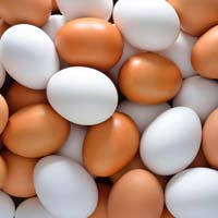 Table Brown Eggs