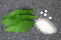 Natural Healthy Sweetener Stevia Tablet