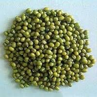 Green Mung Bean,  Cultivation Type : Organic