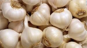 Fresh White Garlic