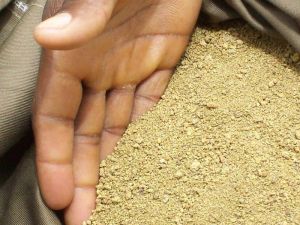 gold dust