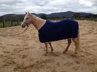 Horse Turnout Winter Rugs