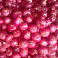 fresh red onion