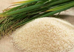 Refined Rice Bran Oil