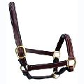 Padded and Raised Leather Halter