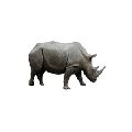 Soapstone Genda rhinoceros sculpture statue