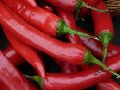 raw red chilli