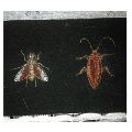 Insects Designed Embroidery Patches