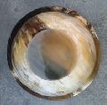 natural horn bowls for home stores