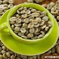 Fresh Robusta Coffee Beans