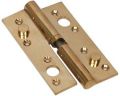 Brass Security Hinges