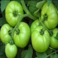 Maruti - Tomato Seeds Raksha 7 F1 Hybrid