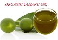 Tamanu original unrefined oil