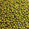Green Moong Lentils