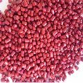 Plastic abs blood red granules