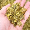 Corn Silage for Animal feed